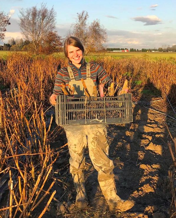 vancouver, delta, river and sea flowers, farm job, flower farm