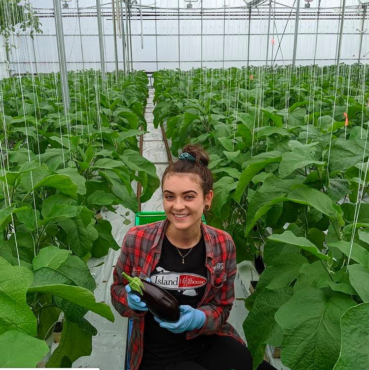 island hothouse, ladysmith, nanaimo, farm job, vancouver island, young agrarians