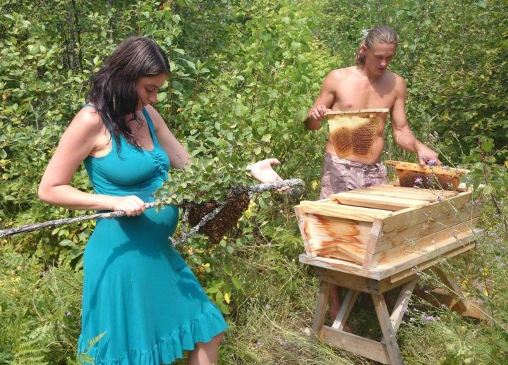 White Pine Mountain Apiary