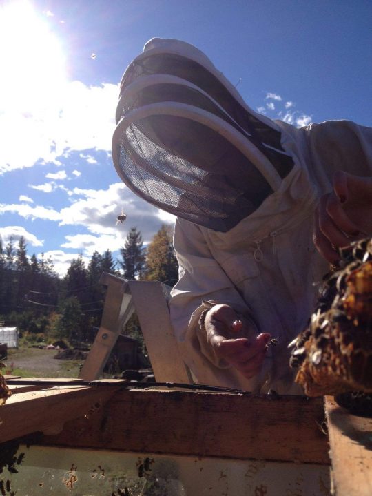 White Pine Mountain Apiary