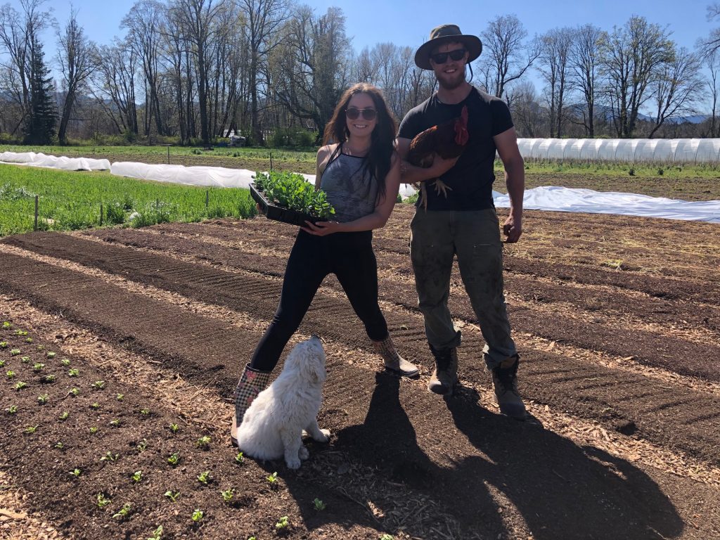 young agrarians land matching, bc land matching program, vancouver island