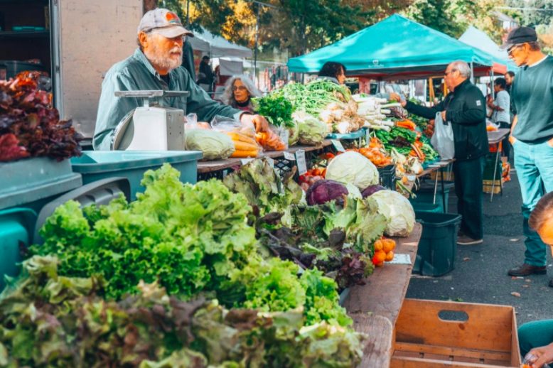 farmers market, pender island community hall, farm job, vancouver island, young agrarians