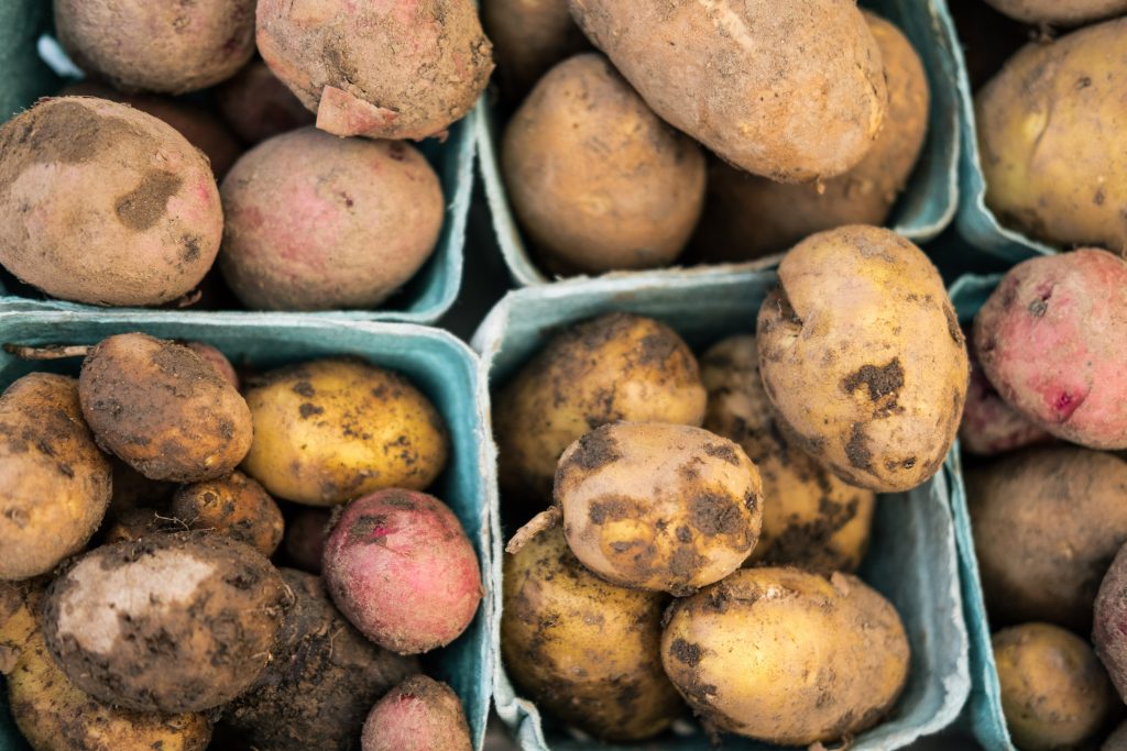 covid-19, resources for farmers, young agrarians