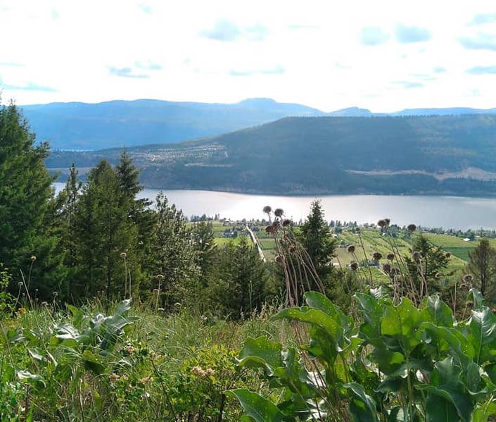 Okanagan Land Opportunity Roundup April 2020 Young Agrarians