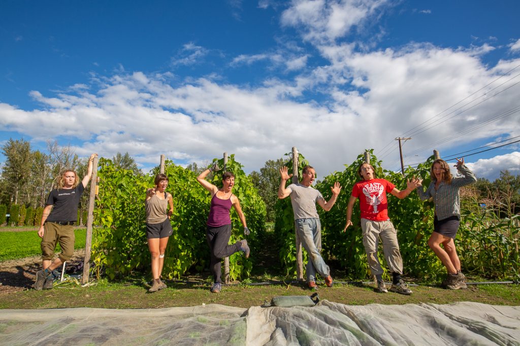 wise earth farm kelowna bc farm job