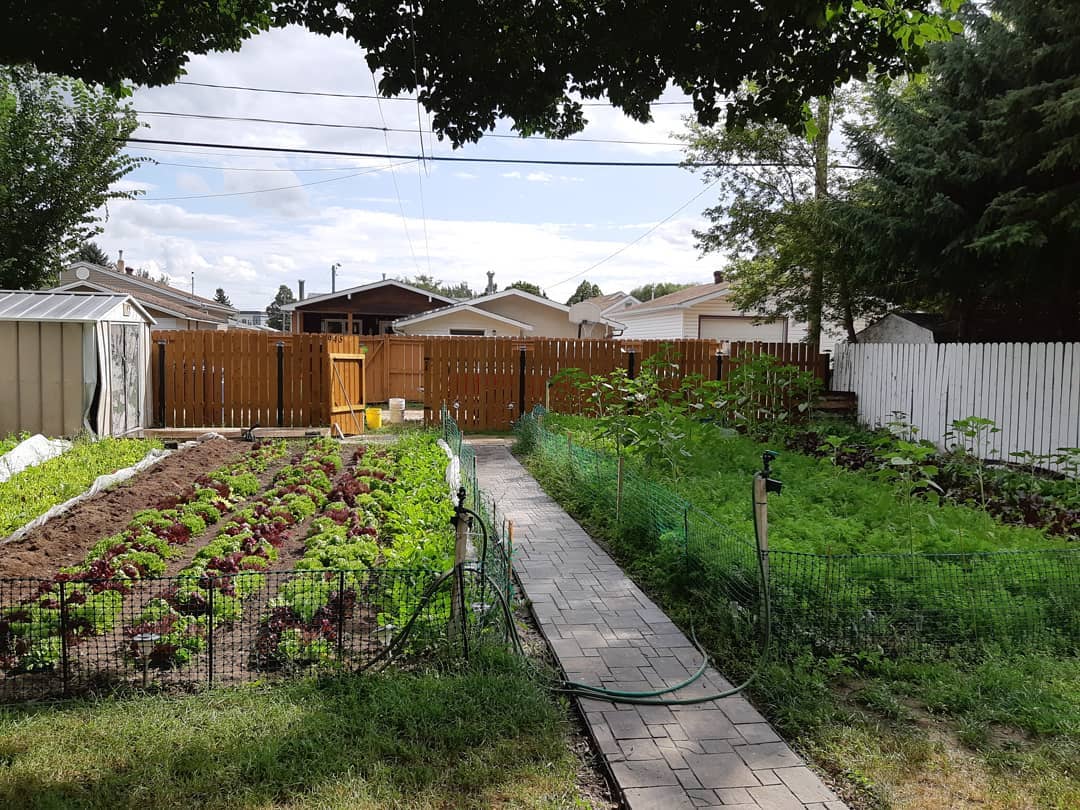 How To Farm a Vacant Urban Lot Young Agrarians