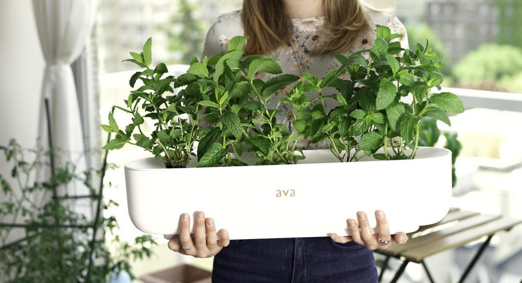 holding the ava farm job vancouver young agrarians