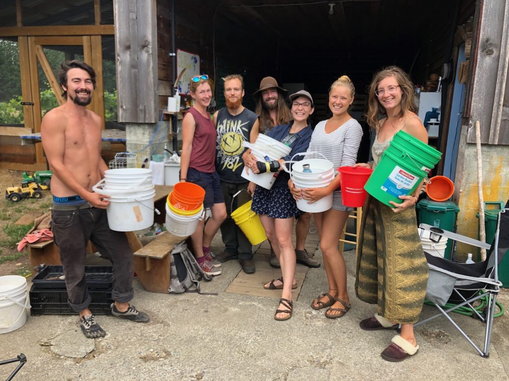 blueberry crew at yellow point farm job ladysmith vancouver island young agrarians
