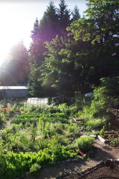 ol' macdonald farm, duncan bc, vancouver island, farm jobs