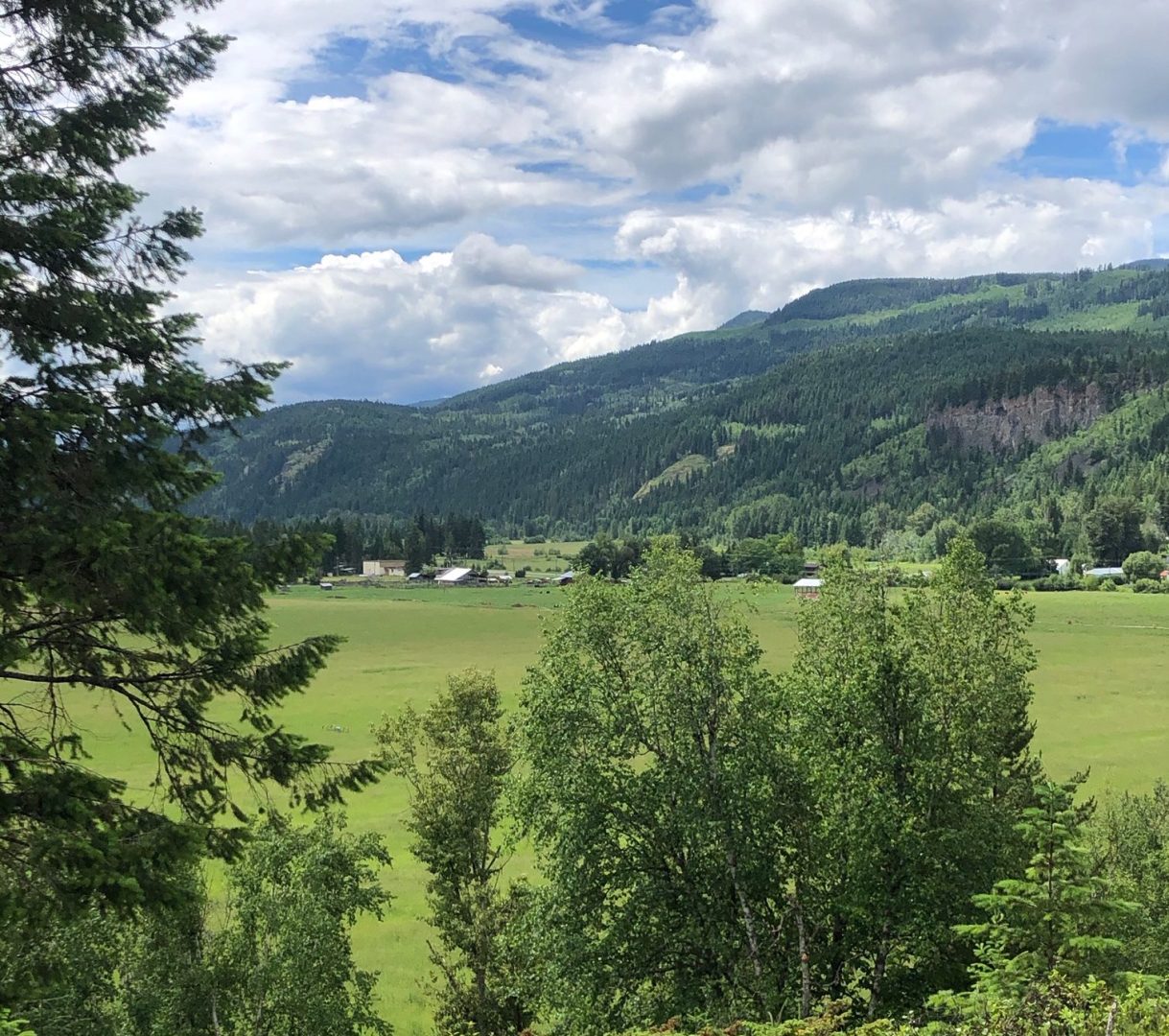 LAND OPPORTUNITY Ranch with 485 acres of grazing and hay land