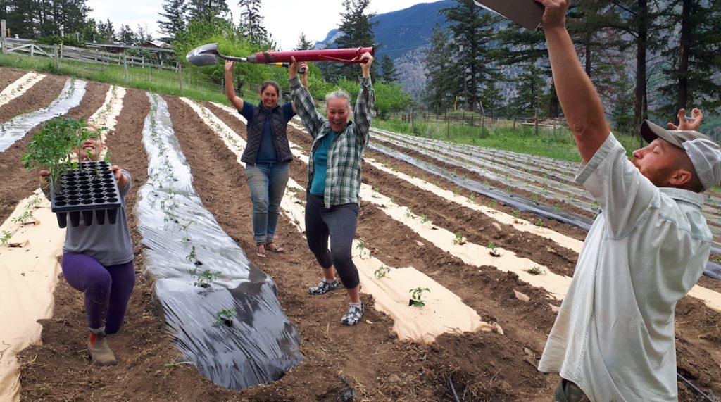 Seed to culture farm job fermentation lillooet