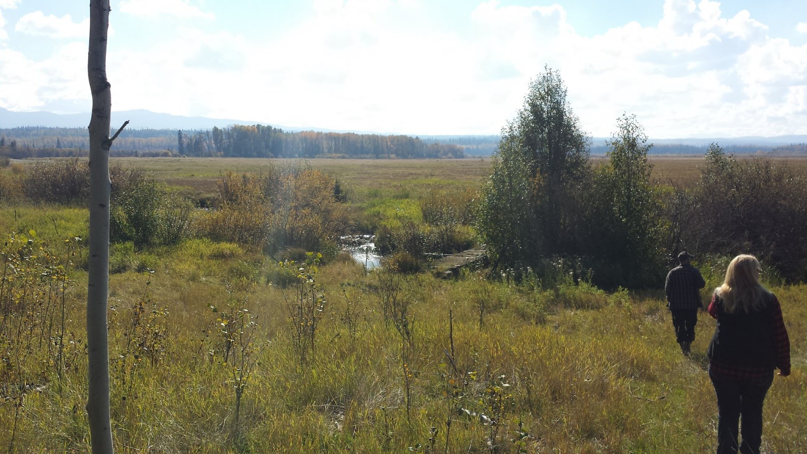 LAND OPPORTUNITY 160 acres of fields and forest for grazing near