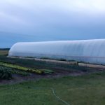 New Farmer Shout Out: Peace River, AB-Green Acres