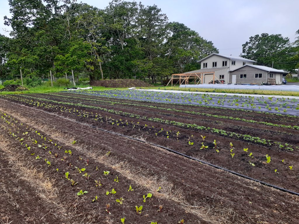wind whipped farm metchosin vancouver island farm hand young agrarians jobs