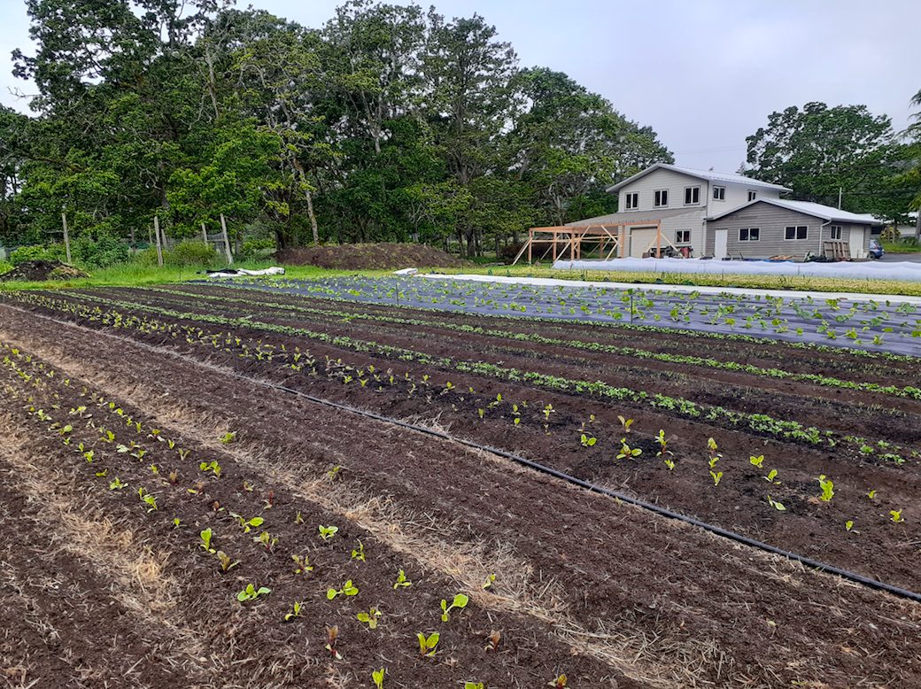wind whipped farm metchosin vancouver island farm hand young agrarians jobs
