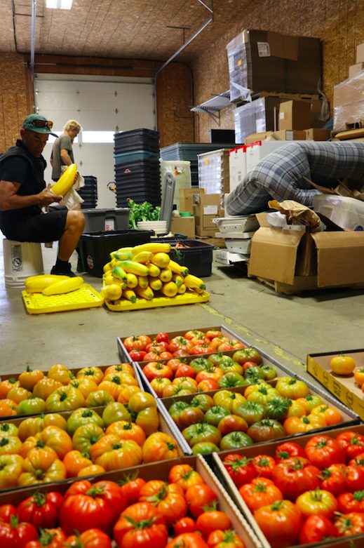 persephone job posting