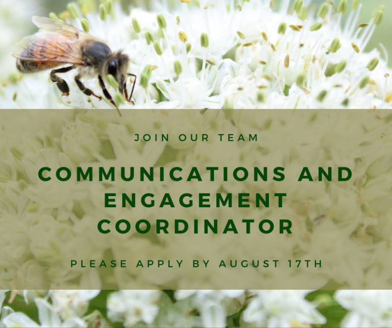 JOB VICTORIA, BCCRFAIR, Communications & Engagement Coordinator