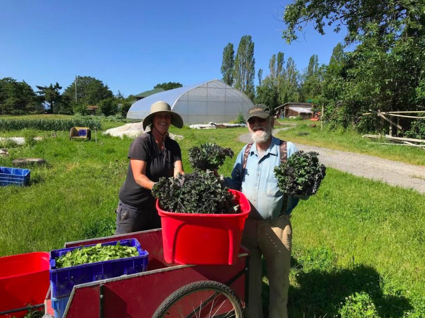 sea bluff farm