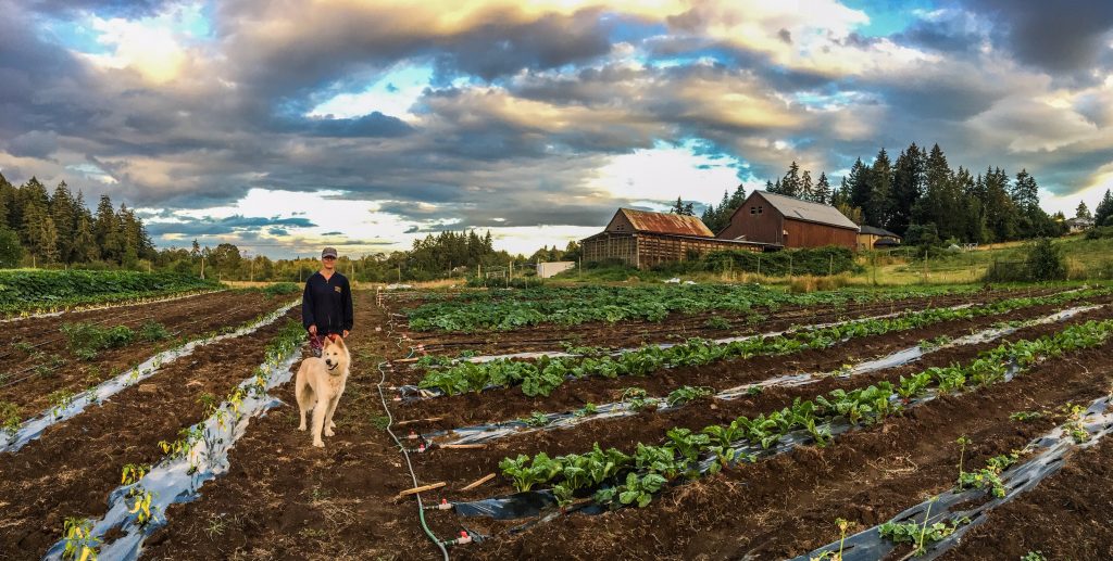 Nanaimo Foodshare Society