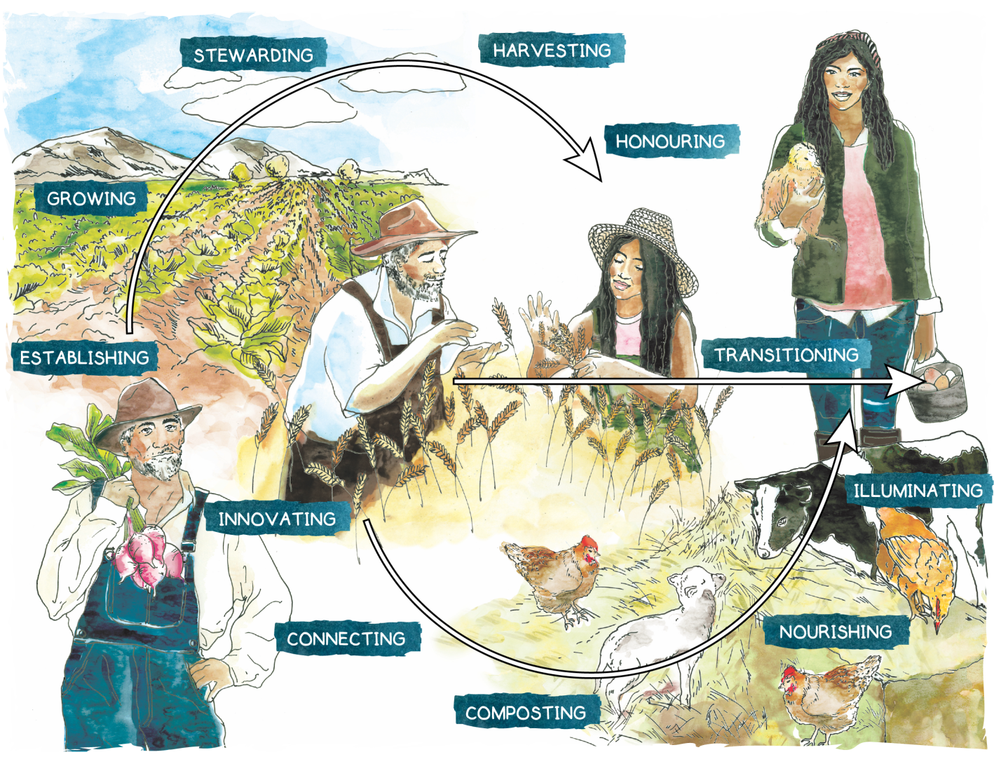 Young Agrarians B.C. Transition Toolkit for Non-Family Farm Transfer