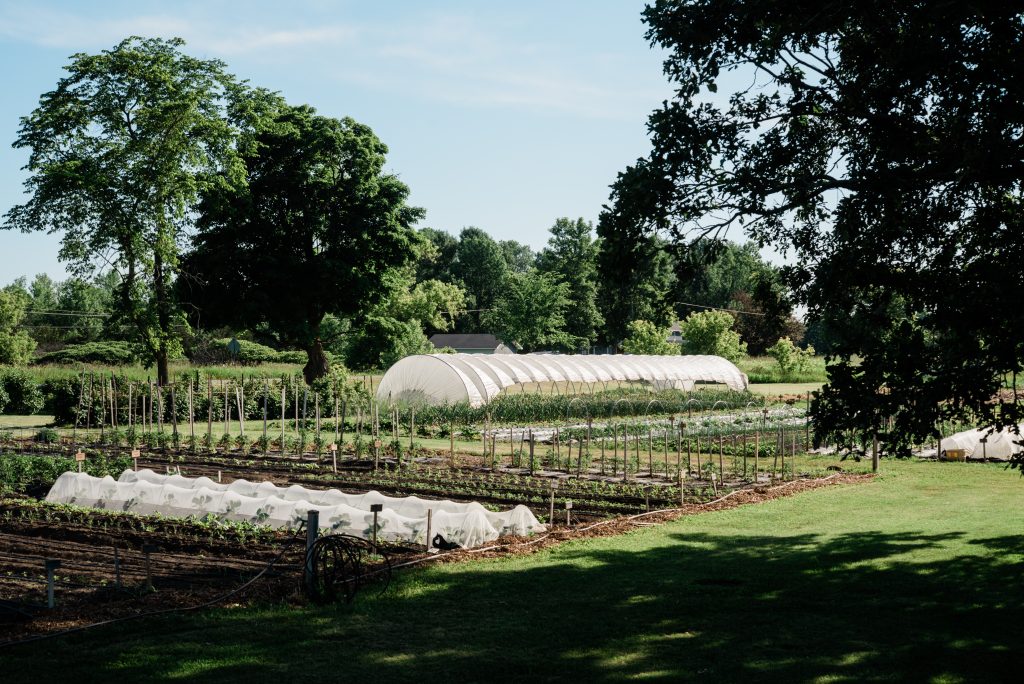 edwin county farms apprenticeshop picton