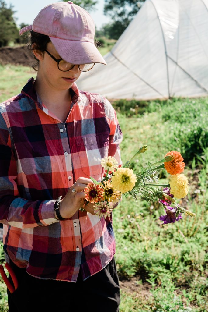 edwin county farms apprenticeshop picton