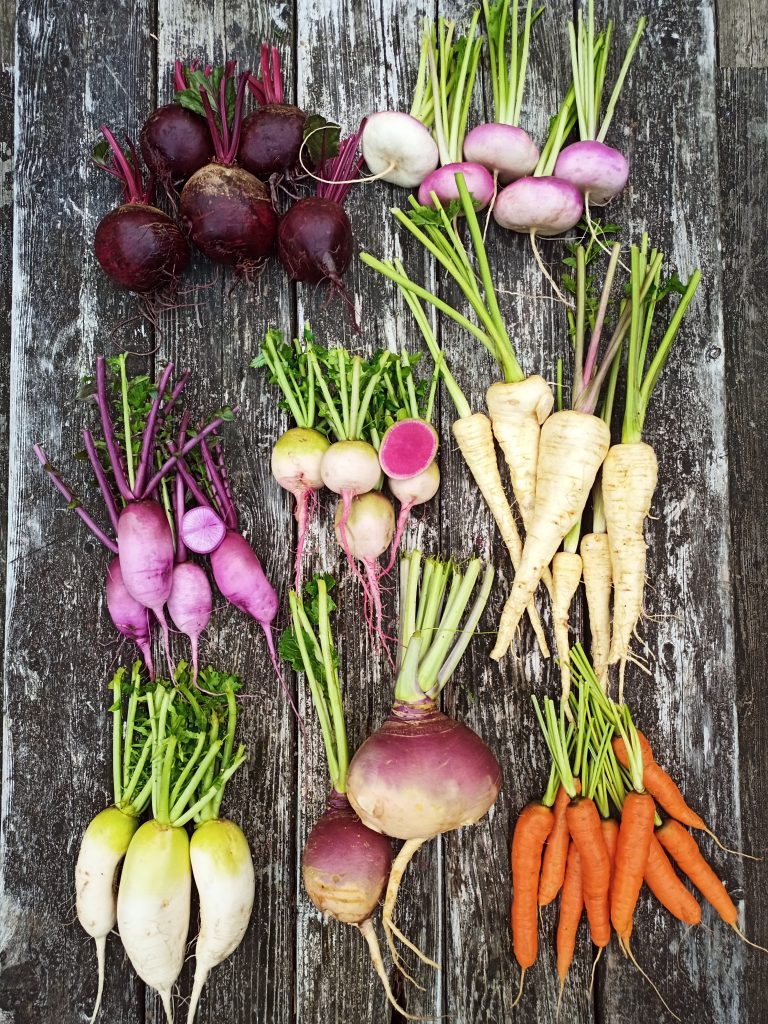 heavenly roots salt spring apprenticeship