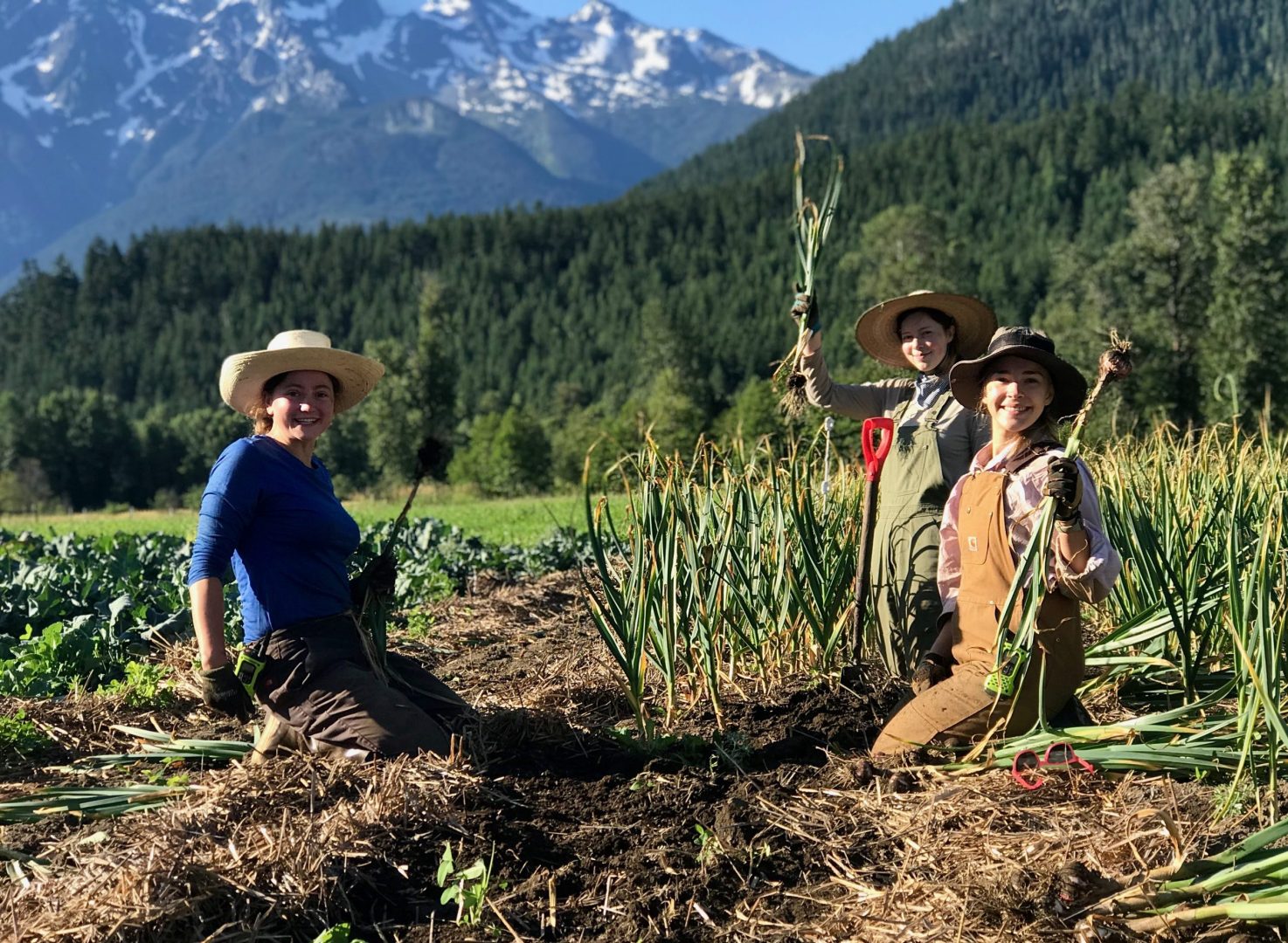 FARM JOBS Pemberton, BC Plenty Wild Farms, 2021 Field Lead & Crew