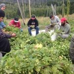 LAND OPPORTUNITY: Hopyard on Mixed Farm – Sorrento, BC