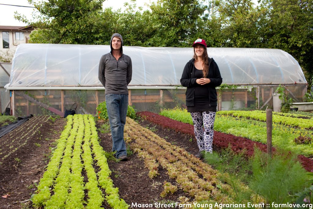 how to plan a market garden