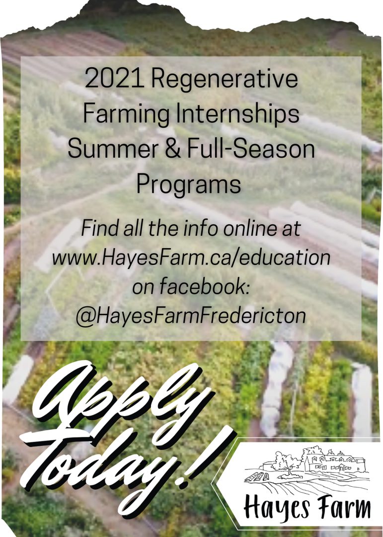 Regenerative Farming Internship in Fredericton, New Brunswick!
