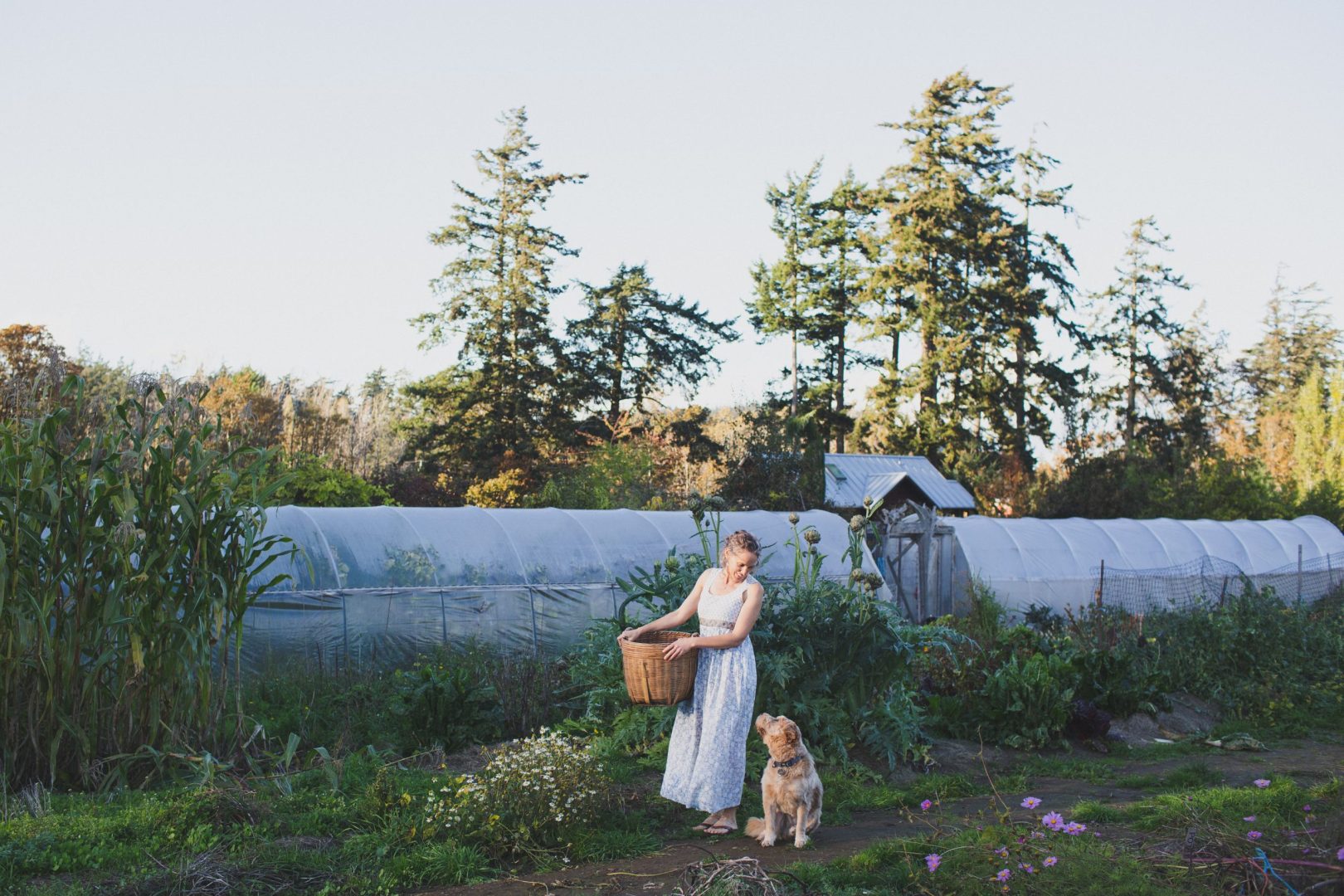 metchosin farm