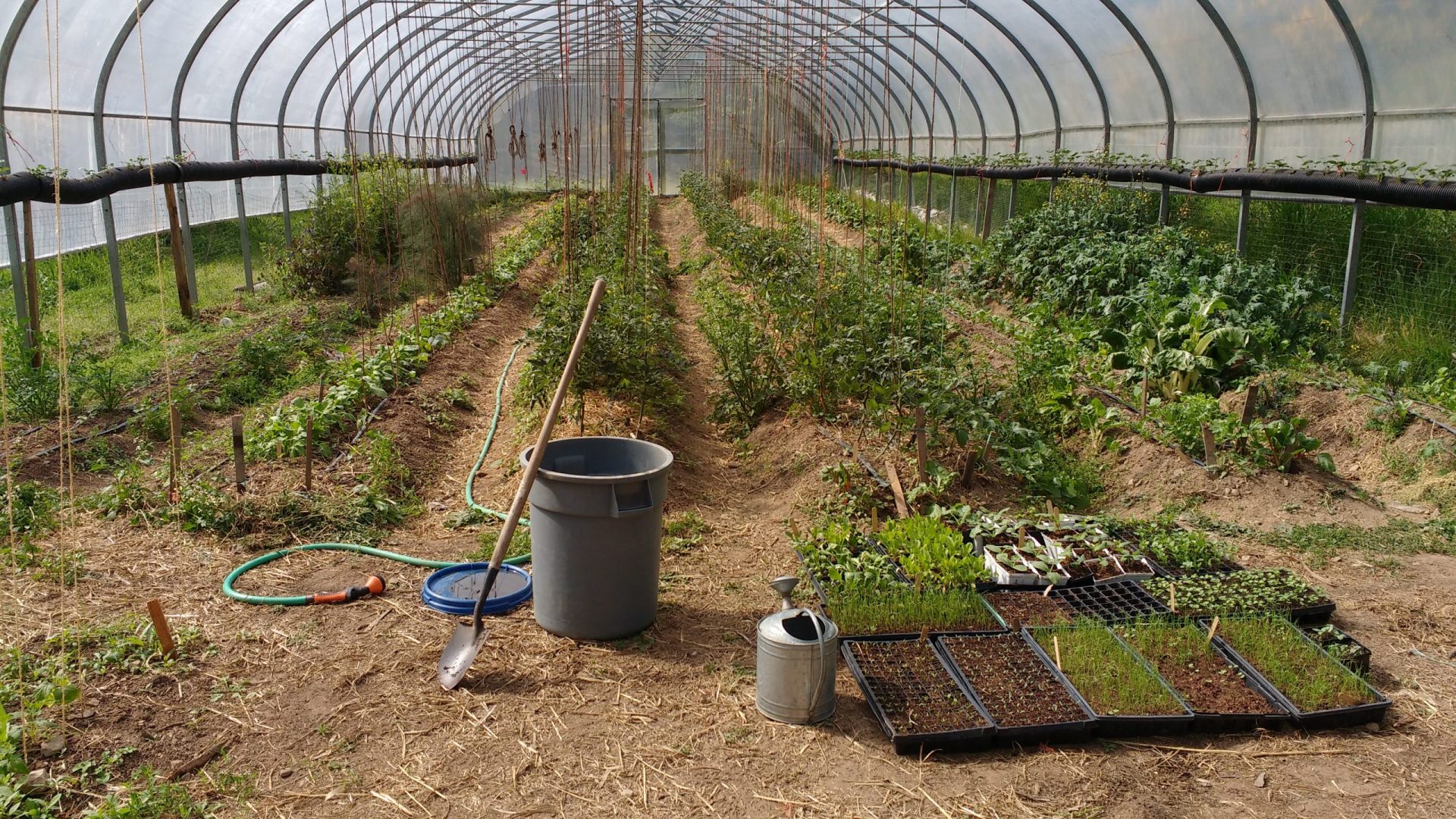 the quarry farm