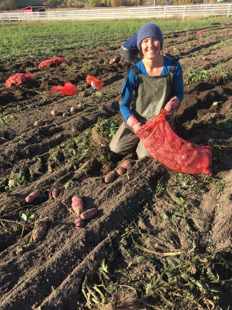 4 elements farm job oyama