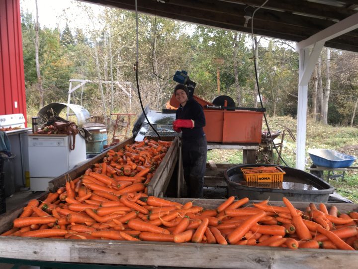 4 elements farm job oyama