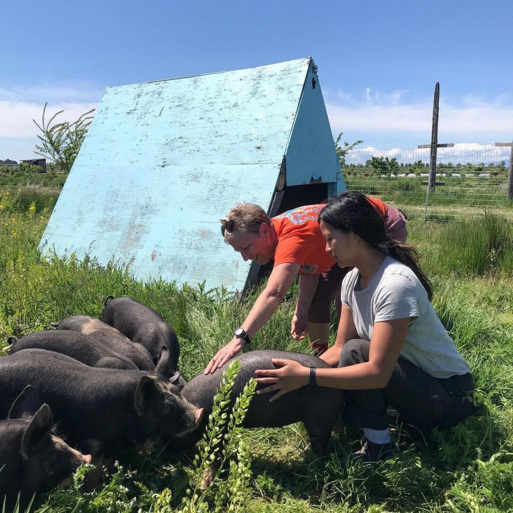 tsawwassen farm school jobs