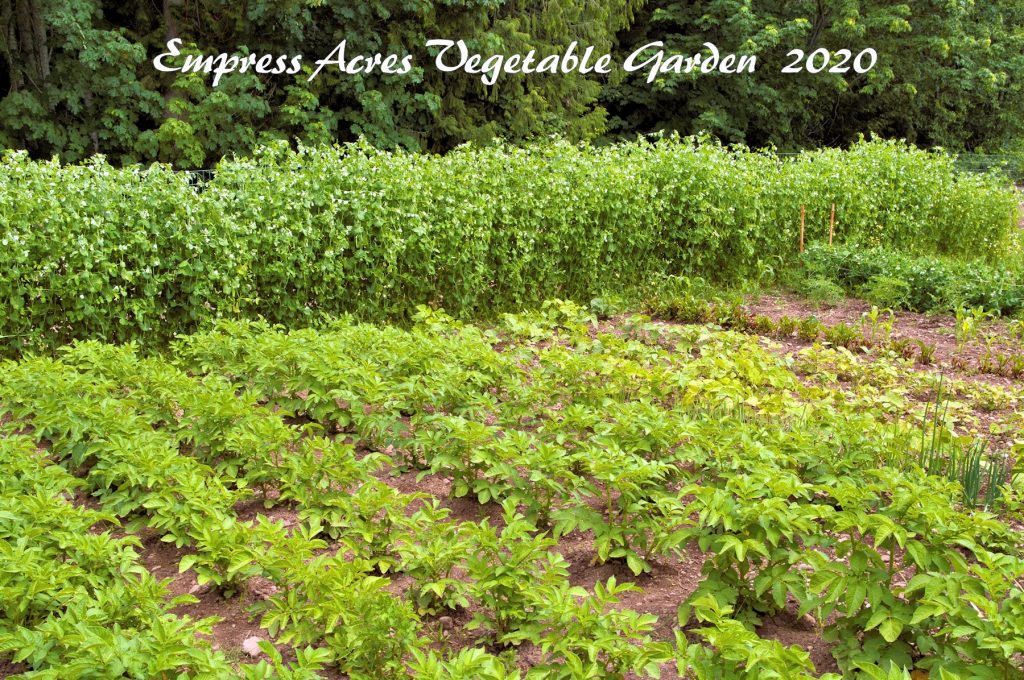 empress acres farm job cedar new garden