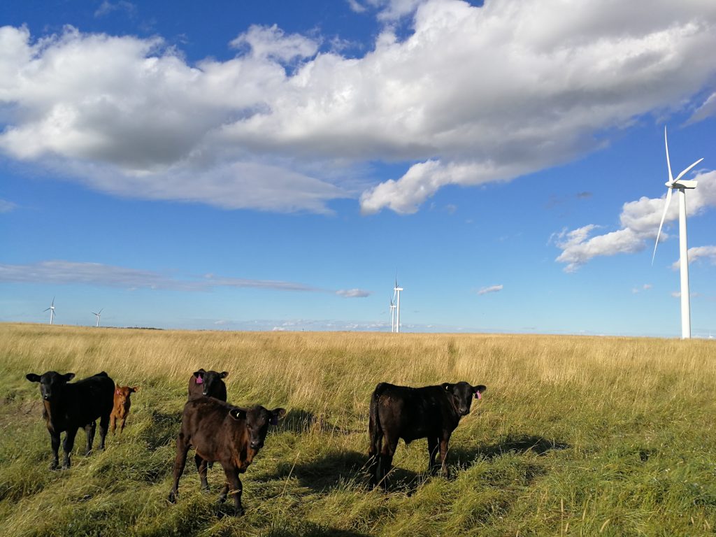 How To Start Farming In Alberta Young Agrarians