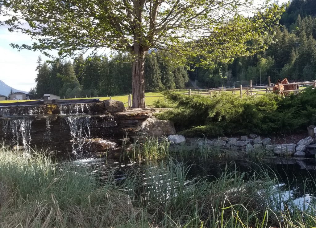 LAND OPPORTUNITY 17 Acres with Housing in Tappen, BC Young Agrarians