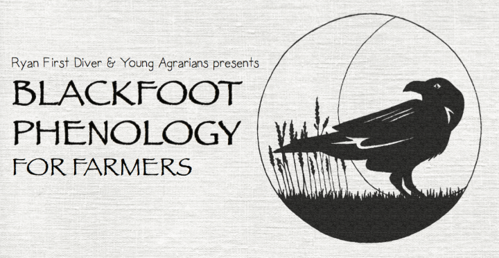 Blackfoot Phenology for Farmers