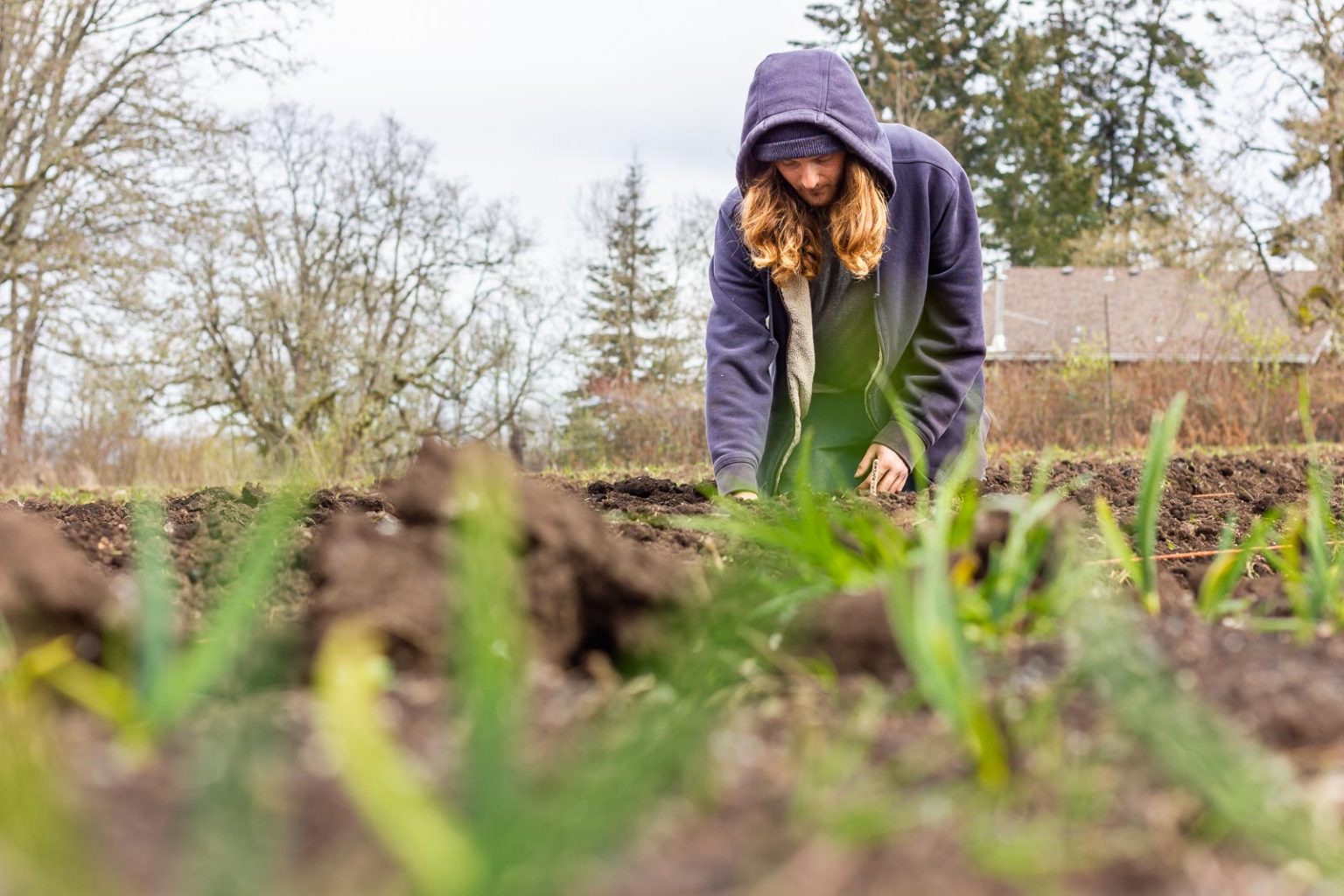 FARM JOB North Saanich, BC 10 Acres, Seasonal farm hand