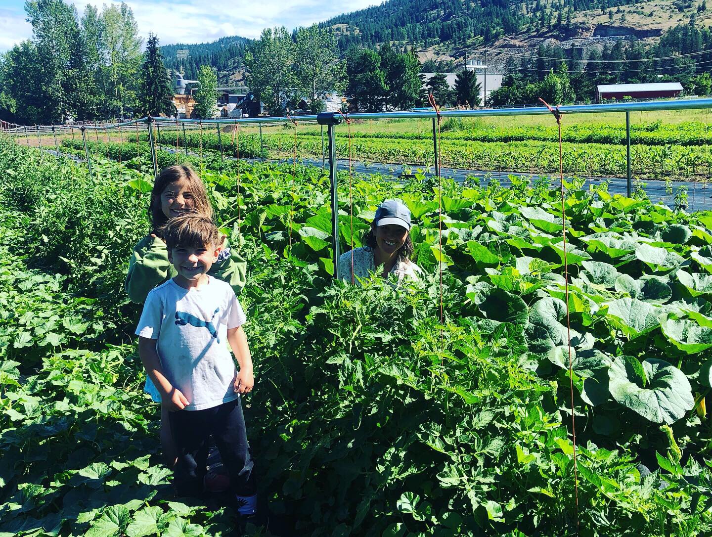 SEPT 12, 2021 OYAMA, BC Farm Tour at 4 Elements Farm