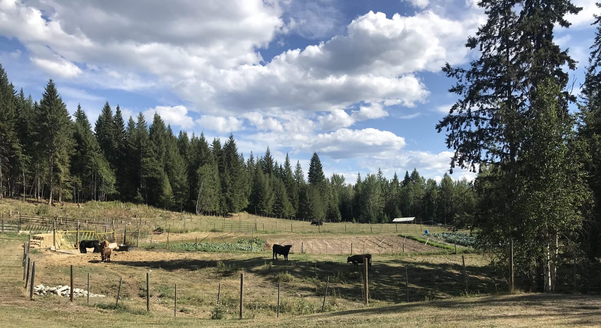 EVENT RECAP Kersley Farmers Institute Farm Tours North Cariboo, BC