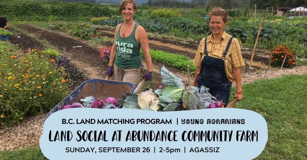 Land Social at Abundance Sep 26-01