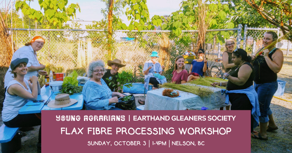 flax fibre processing