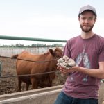 Brewery Waste, Mushrooms, and Animal Feed: A Zero-Waste Solution