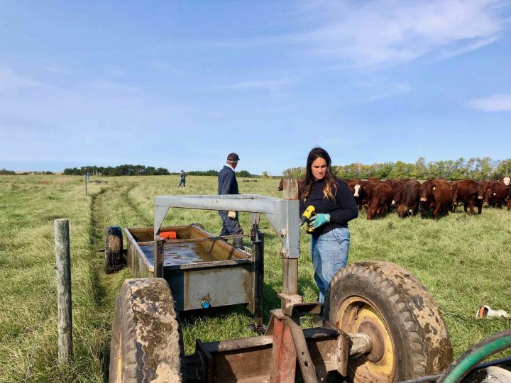 Gripfast Farms YA Apprenticeship
