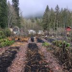 LAND OPPORTUNITY: 1 Acre with Market Garden, Fruit Trees, Greenhouses and more – Ladysmith, BC