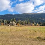 LAND OPPORTUNITY: 2 flat, unfenced acres in Creston