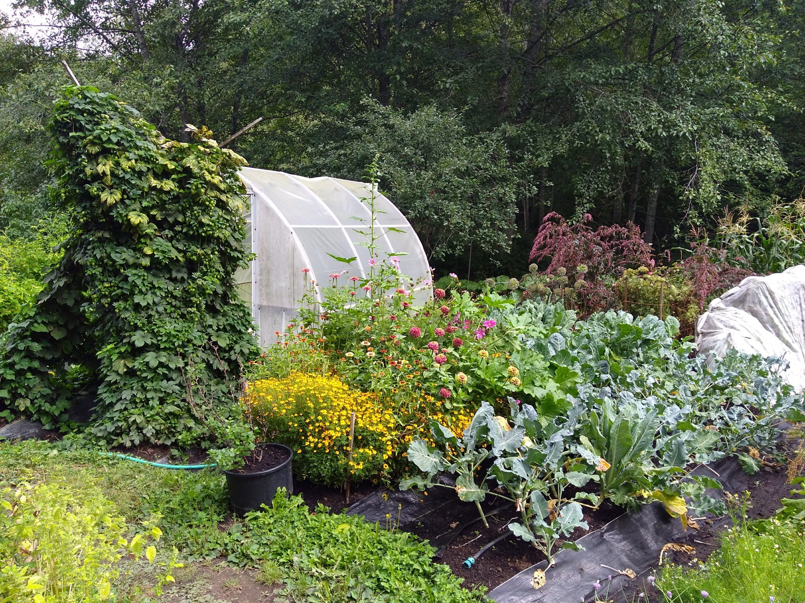 FARM JOB VICTORIA, BC Rebecca's Garden